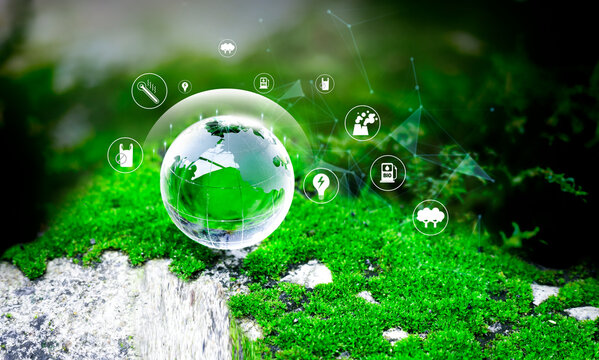 Crystal ball on moss with icons in green forest - environment esg concept. Crystal globe placed on moss. ESG icon. Society and Governance sustainable global environment