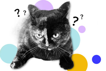 Cat mood and bright geometric shapes emotions with question mark signs isolated background. Art collage digital pop modern art