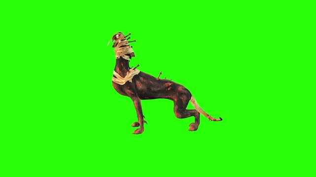 Zombie Dog calling idle