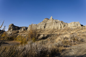 Dinosaur provincial park