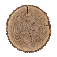 Cracked wood slice with tree rings isolated
