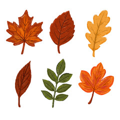 Hand Drawn Autumn Leaves Set in Cute Crayon Style, Fall Season Botanical Illustration