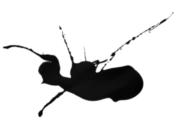 black watercolor splash brush isolated on transparent background