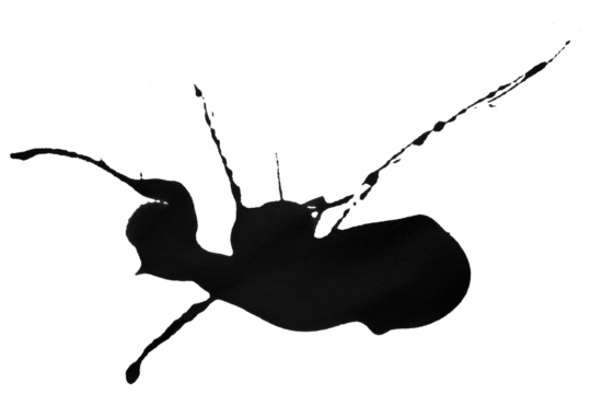 black watercolor splash brush isolated on transparent background