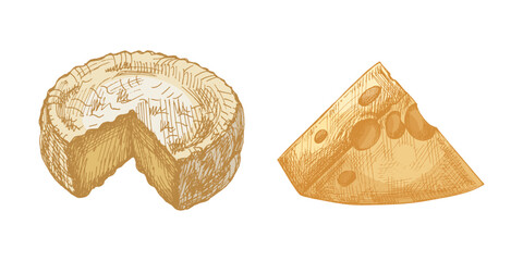 Hand drawn vintage sketch of cheese wheel and wedge in yellow color, detailed dairy food illustration, isolated vector design