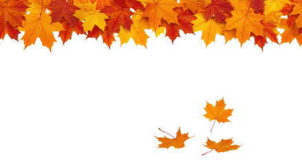 A Seasonal Frame for an Autumn Greeting Card Or an Invitation, Cut Out, Clipping Path, Isolated on a Transparent PNG Background.