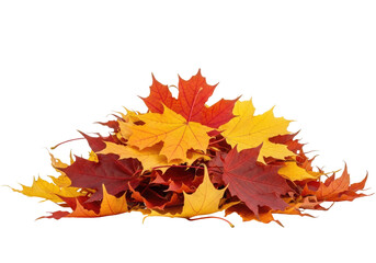 A Festive Pile of Leaves for an Autumn Or a Thanksgiving Design, Cut Out, Clipping Path, Isolated on a Transparent PNG Background.