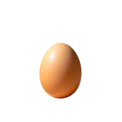 Single Brown Egg Isolated