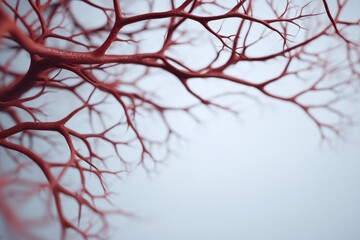 Vein Vascular Visual concept. Red branches against a light background creating a striking visual contrast.
