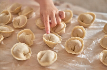Homemade dumplings preparation captured in soft natural light.
Child’s hand touches fresh dough, showing family cooking tradition.
Warm kitchen moment of making traditional dumplings together.
