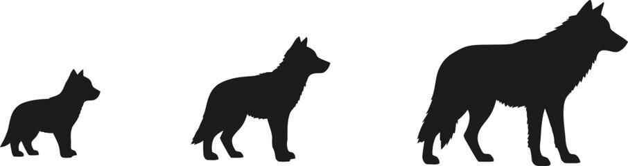 Wolf Lifecycle Silhouette Vector Illustration Graphic