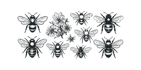 Several Hand Drawn Bees and Wildflowers