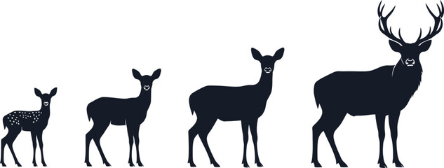 Deer Lifecycle Silhouette Vector Illustration Graphic
