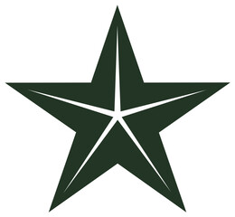 Obraz premium Green Geometric Star Silhouette