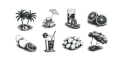 Collection of tropical fruits and drinks
