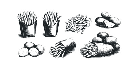 Hand Drawn French Fries and Potatoes in Sketch Style