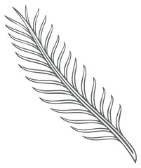 Obraz premium Exotic Palm Leaf Vector Illustration Design Simple Tropical Plant Outline