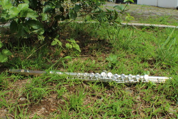 flute