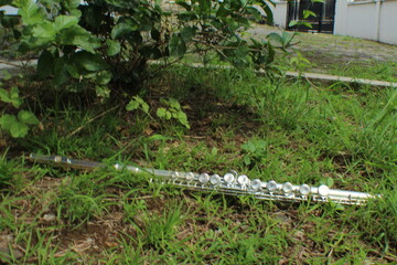 flute
