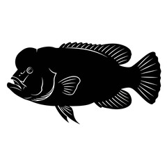 black and white silhouette vector icon of napoleon fish on white background