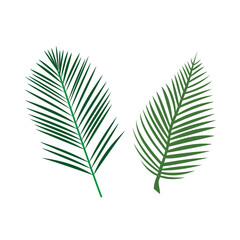 set of vector leaves