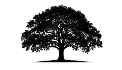 Fototapeta premium A detailed black silhouette of a leafy tree against a pristine white backdrop. The image shows a broad, symmetrical crown