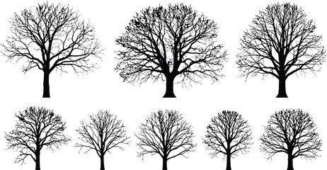 Vector art of collection of bare deciduous tree silhouettes in winter