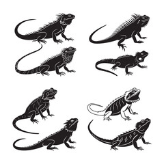 Fototapeta premium Bearded Dragon Iguana svg