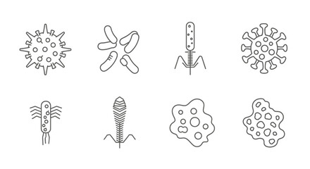 Collection of diverse microscopic organisms scientific hand drawn icons set medical biology vector