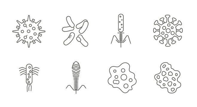 Collection of diverse microscopic organisms scientific hand drawn icons set medical biology vector