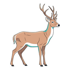 Illustration of a standing deer with antlers vector art for wildlife and nature designs isolated on white background