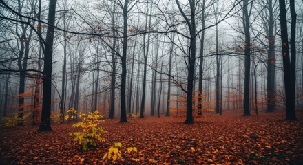 End of autumn forest scene with bare trees and fallen leaves for seasonal design