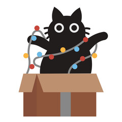 Cat in Christmas box