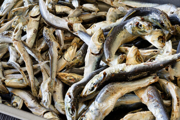 煮干し（マイワシ・カタクチイワシ）