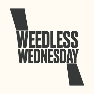 Naklejki Vector art of weedless wednesday text graphic with bold typography and abstract shapes