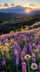 Majestic mountains stand tall as the sun sets, illuminating a vibrant field of purple lupine flowers and white daisies below.