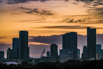 Fototapeta premium 都心風景 朝焼けの東京湾岸地区