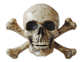 A realistic human skull and crossbones symbol isolated on transparent background