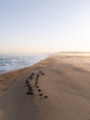 C&ocirc;tes portugaises vues de drone
