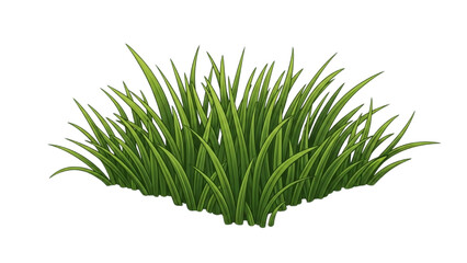 Lush Green Grass Clump Illustration for Nature Designs