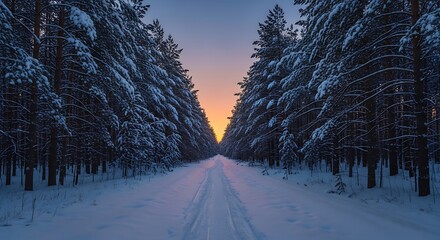 A snow-covered forest road leads towards a vibrant sunset, creating a symmetrical and serene winter landscape.