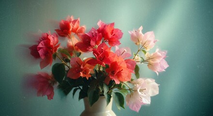 Elegant bouquet of bougainvillea flowers in a vase creates a vibrant, romantic, and colorful floral display