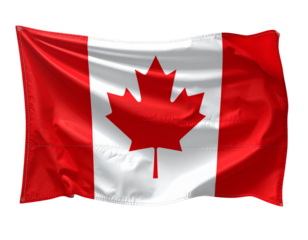 Hand Holding Shining Light Bulb with Energy Rays, Creative Concept, isolated - Waving Canadian Flag with Realistic Fabric Texture, isolated on transparent background