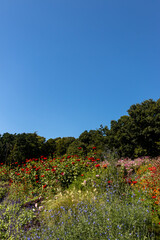 Fototapeta premium Sky-focused landscape photography