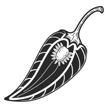 datil pepper on white background 