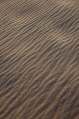 夏の鳥取砂丘とその紋様 鳥取県 鳥取砂丘