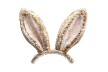 Realistic fur bunny ears on a simple headband, rendered with lighting and shadows on a black background