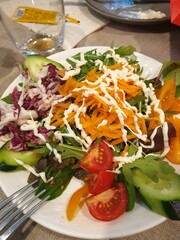 salad with vegetables