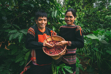 Vietnamese ethnic farmers working on coffee plantation in Central Highlands