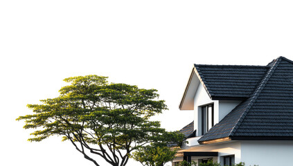 A house's roof and a leafy tree against a dark backdrop